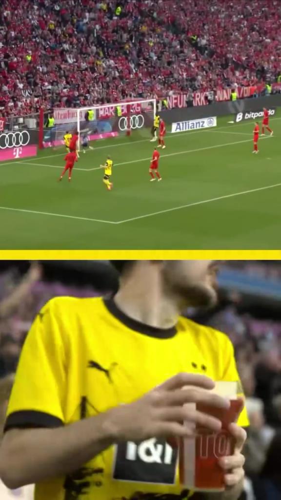 勇者無(wú)懼！這是真多特球迷！在拜仁球迷區(qū)一個(gè)人肆意慶祝！